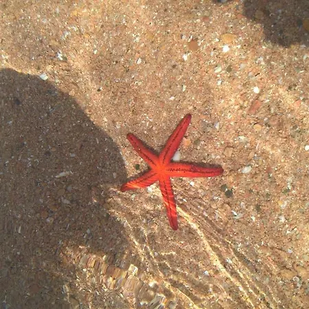 펜션 San Teodoro 산테오도로